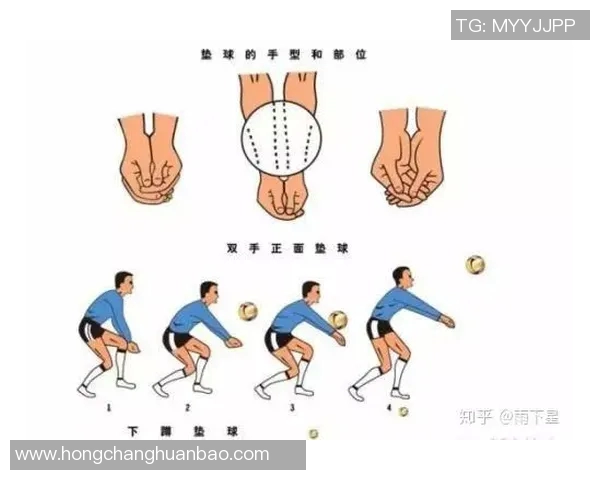 运动最新数据从零基础到高手排球比赛全方位实战技巧与经验分享