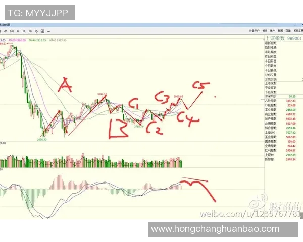 实时新闻上海极限运动队防守策略分析与比赛表现评估